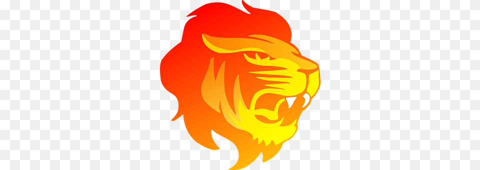 Cat Fire, Flame, Baby, Person Png