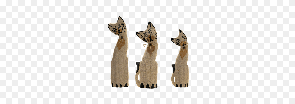 Cat Animal, Pet, Egyptian Cat, Mammal Png