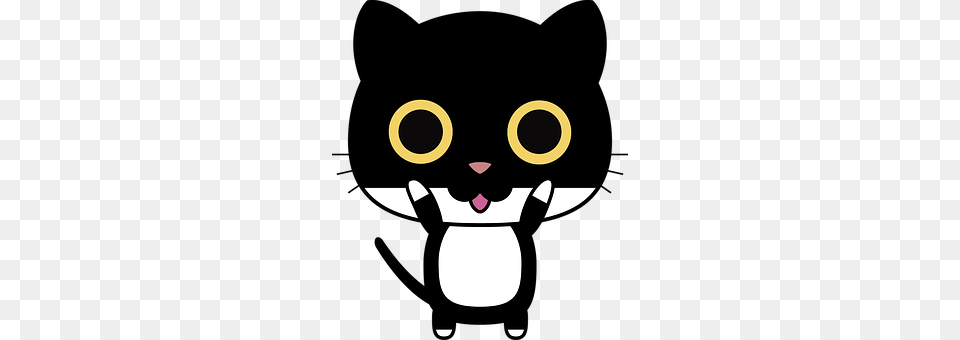 Cat Png