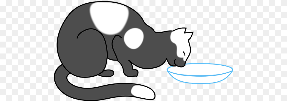 Cat Animal, Mammal Free Png Download