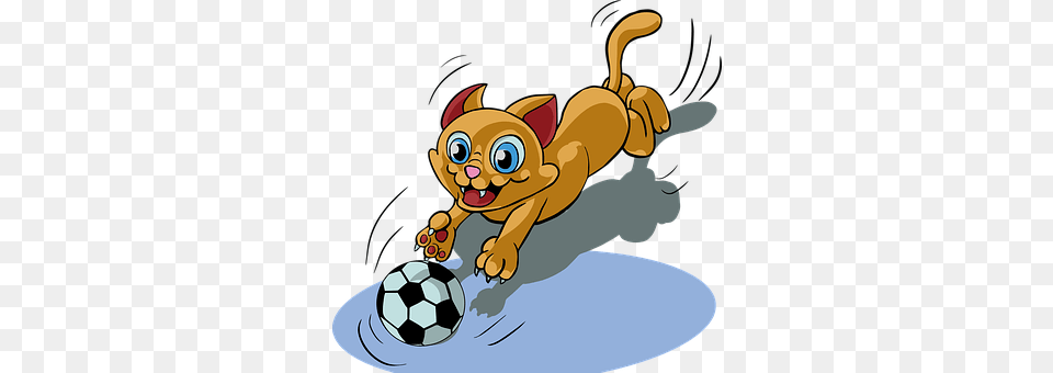 Cat Sport, Soccer Ball, Ball, Soccer Png Image