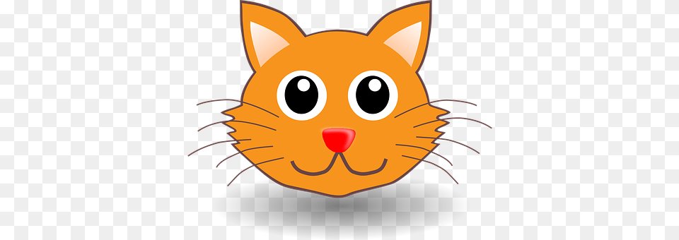 Cat Baby, Person, Animal, Pet Free Png