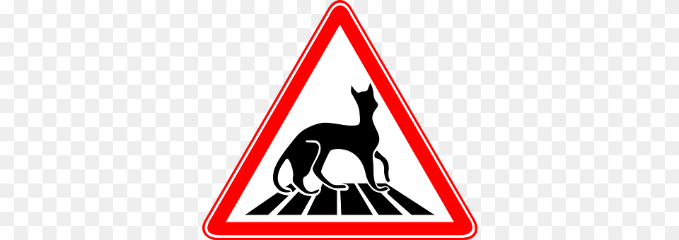 Cat Sign, Symbol, Road Sign, Animal Free Transparent Png