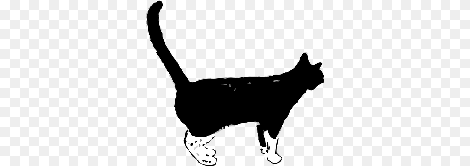 Cat Stencil, Silhouette, Animal, Mammal Png Image