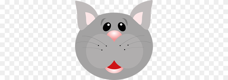 Cat Animal, Mammal, Hot Tub, Tub Free Png Download