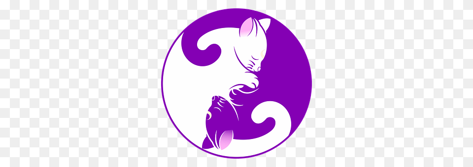 Cat Purple, Logo, Disk, Symbol Free Png Download