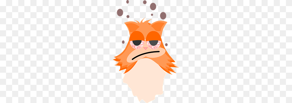 Cat Animal, Beak, Bird, Person Free Transparent Png