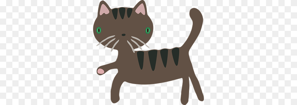Cat Animal, Pet, Baby, Person Free Png
