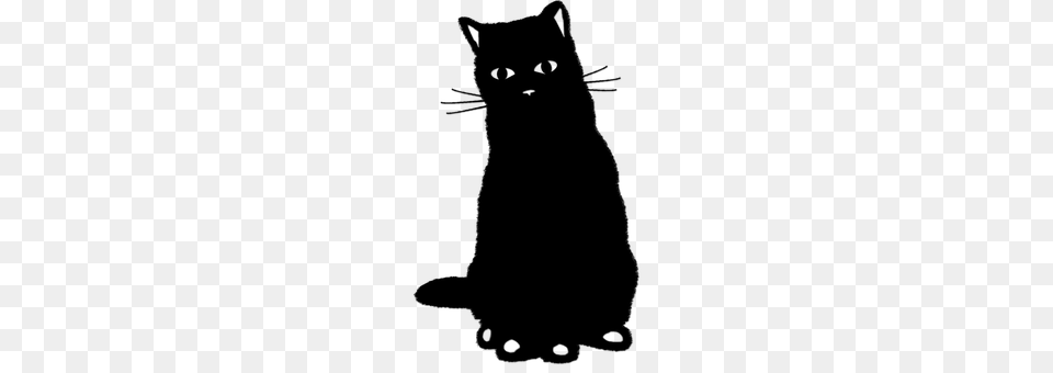 Cat Gray Png