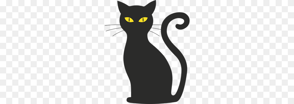 Cat Animal, Mammal, Pet, Black Cat Free Png