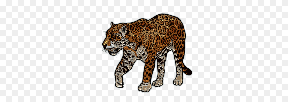 Cat Animal, Mammal, Panther, Wildlife Png Image