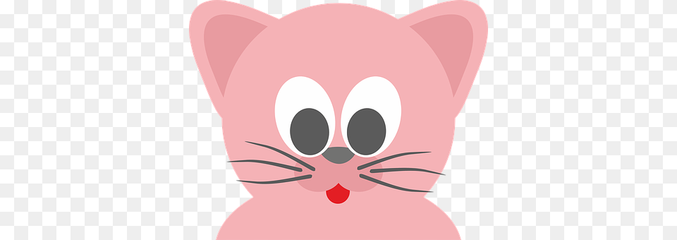 Cat Baby, Person, Animal, Mammal Free Transparent Png