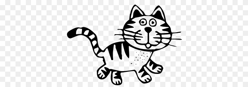 Cat Gray Free Transparent Png