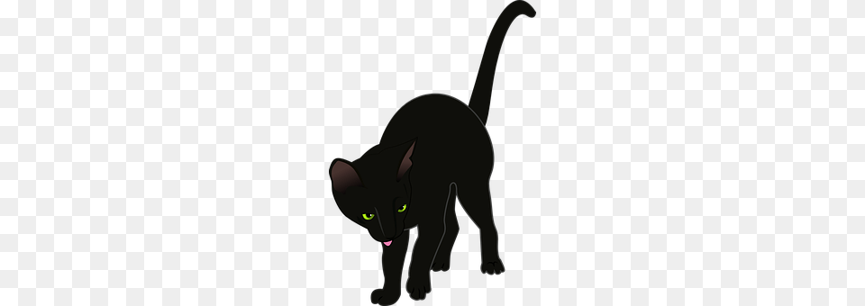 Cat Animal, Mammal, Pet, Black Cat Png