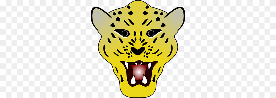 Cat Animal, Mammal, Baby, Person Free Transparent Png