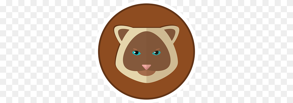 Cat Disk, Face, Head, Person Png Image
