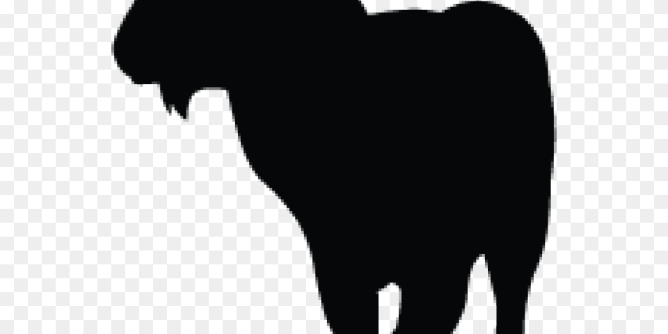 Cat, Silhouette, Animal, Bull, Mammal Free Png Download