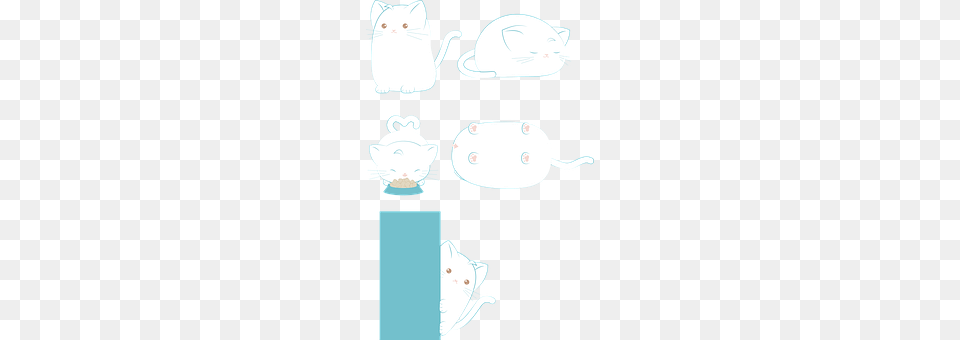 Cat Bag Png Image