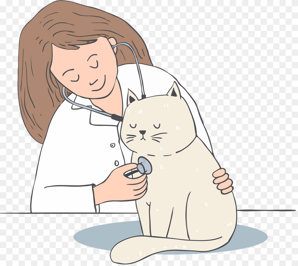 Cat, Doctor, Person, Face, Head Png Image