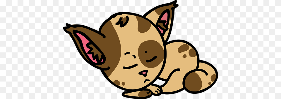 Cat Face, Head, Person Png Image