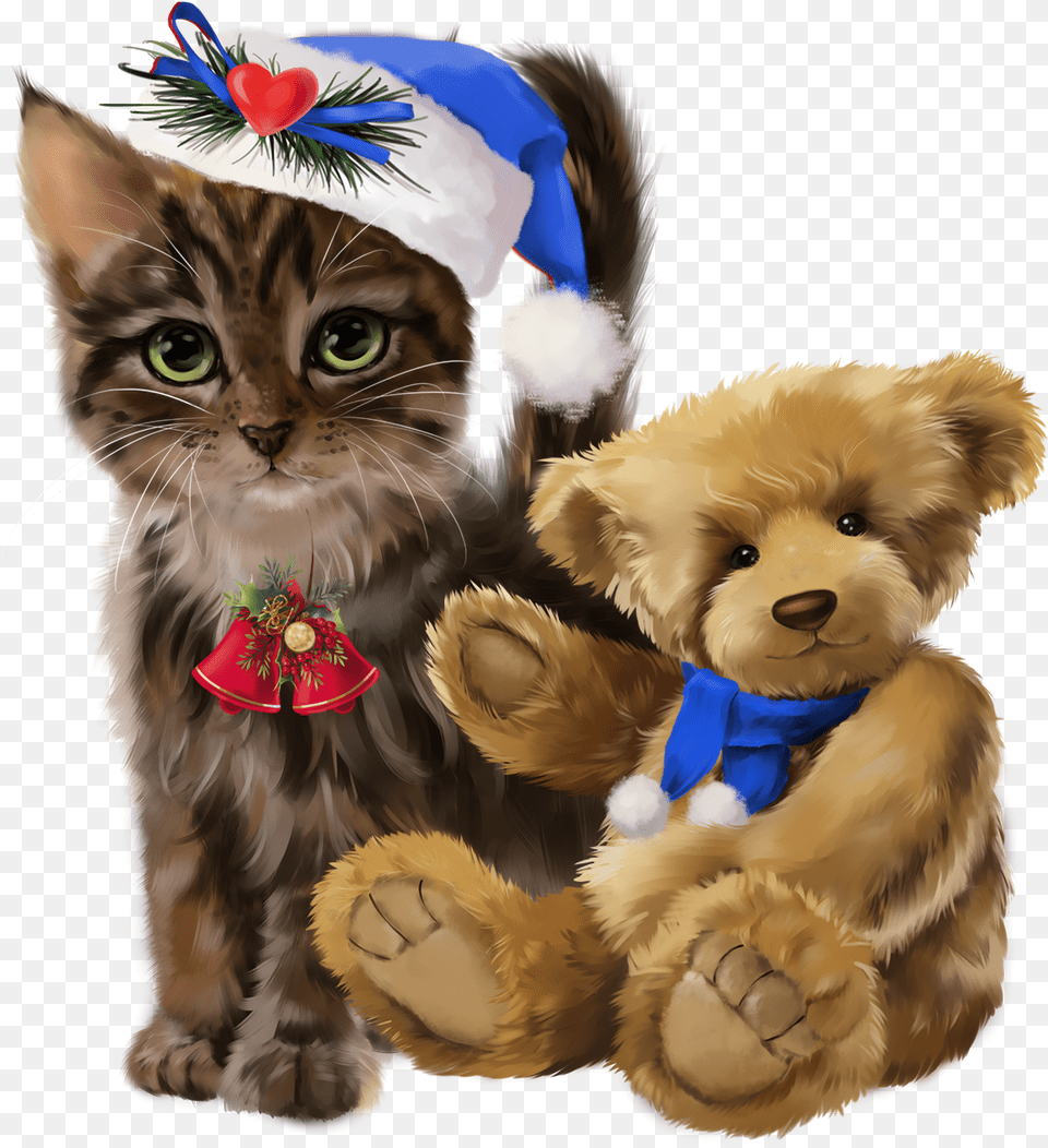 Cat, Animal, Mammal, Pet, Teddy Bear Png