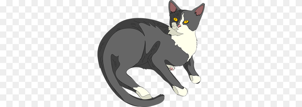 Cat Animal, Mammal, Pet Png