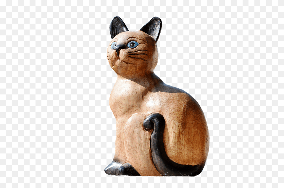 Cat Animal, Mammal, Pet, Egyptian Cat Free Png