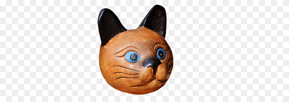 Cat Animal, Mammal, Pet, Fish Png Image