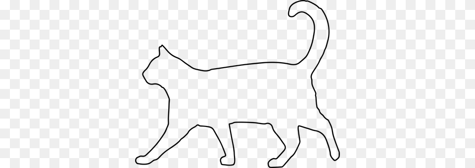 Cat Gray Free Png Download