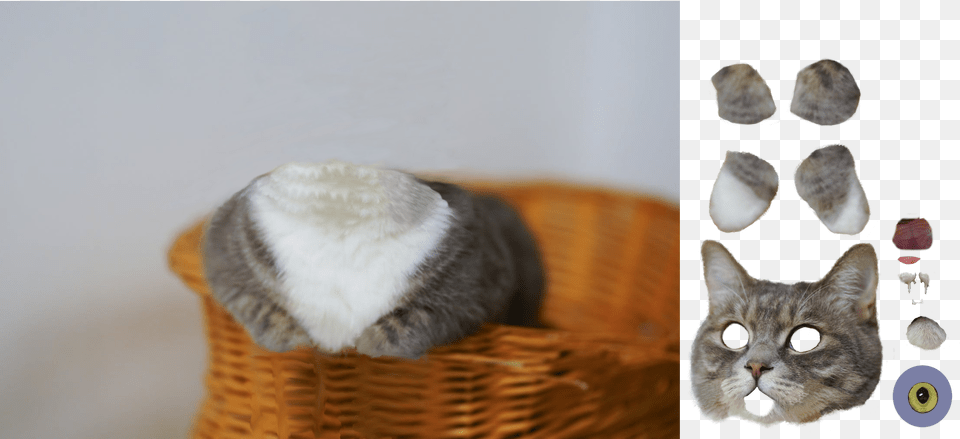 Cat, Basket, Animal, Mammal, Pet Png Image