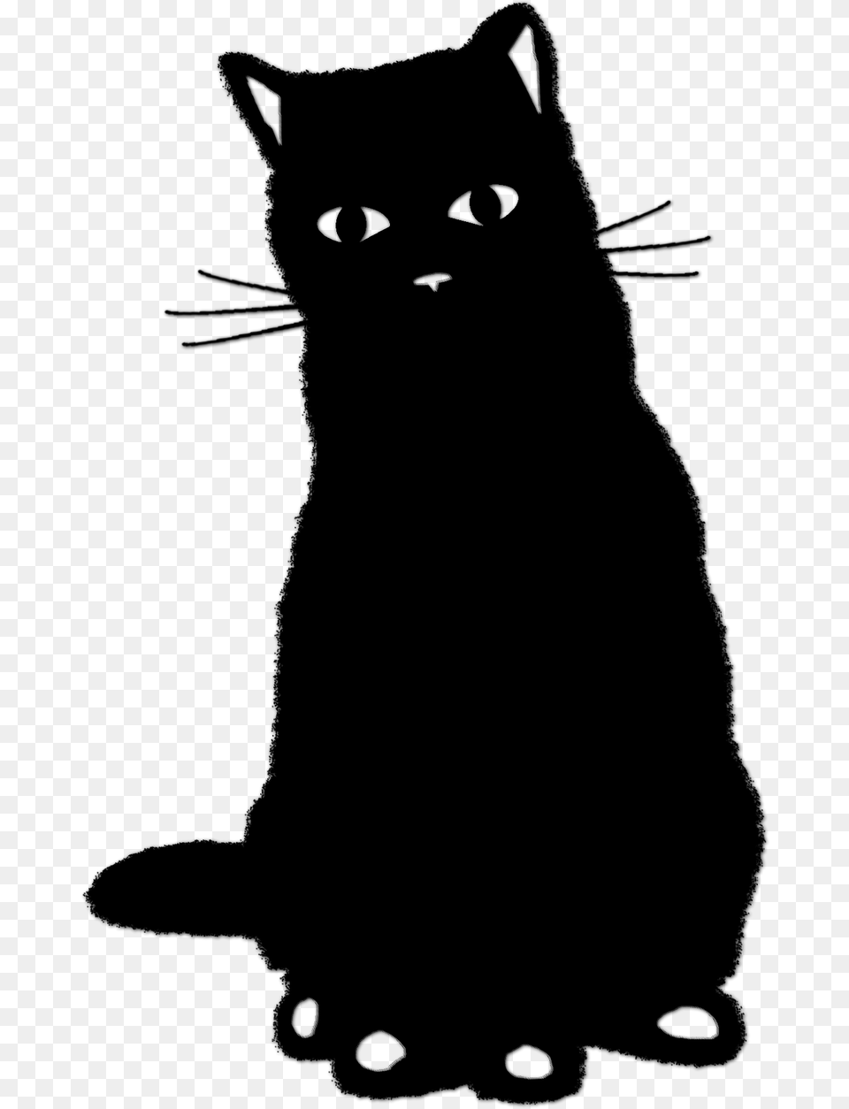 Cat, Gray Png Image