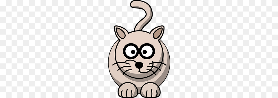 Cat Baby, Person Free Png Download