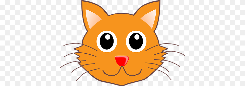 Cat Baby, Person, Animal, Pet Png