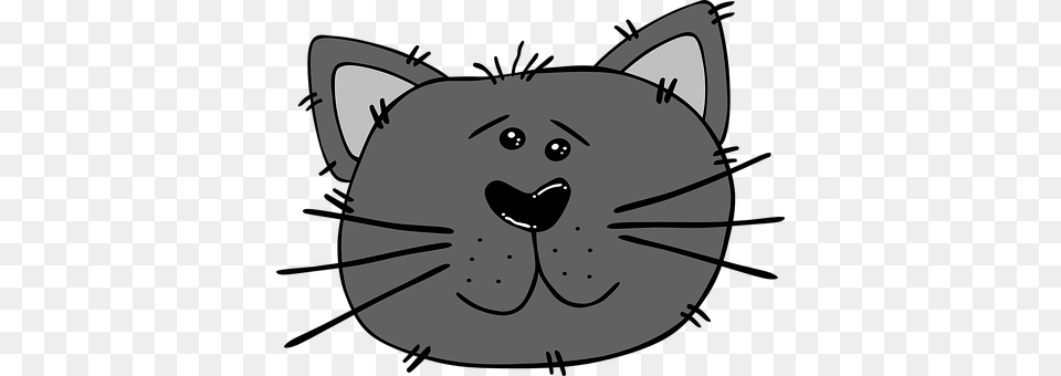 Cat Snout Png Image