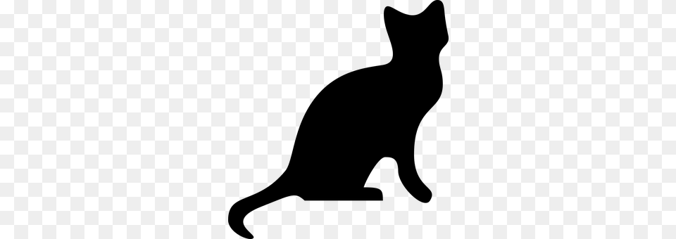Cat Animal, Mammal, Pet, Egyptian Cat Png Image