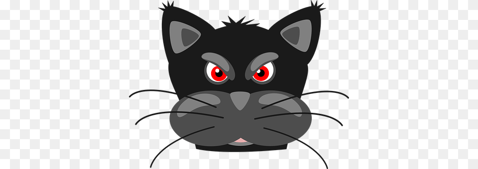 Cat Animal, Pet, Mammal, Baby Png