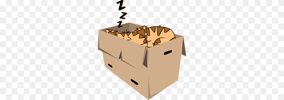 Cat Box, Cardboard, Carton Free Transparent Png