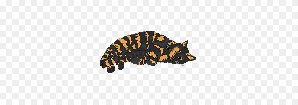 Cat Animal, Mammal, Pet Free Transparent Png