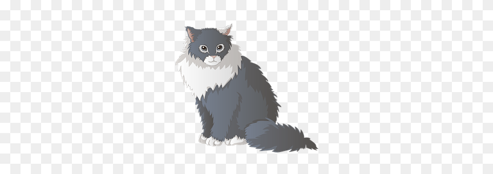 Cat Angora, Animal, Mammal, Pet Png Image