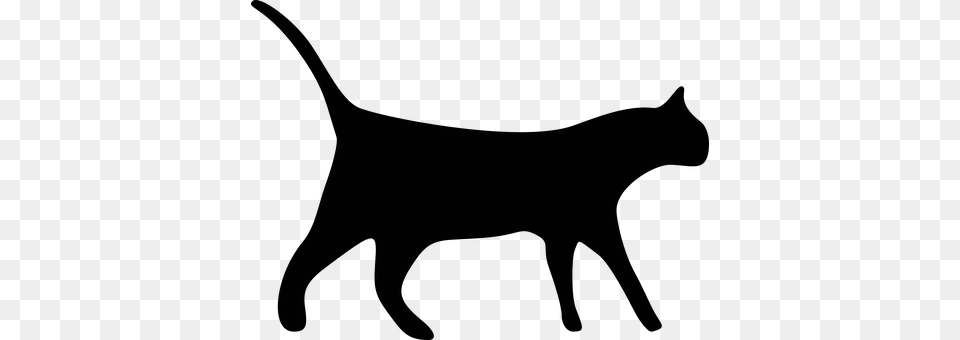 Cat Animal, Mammal Free Transparent Png