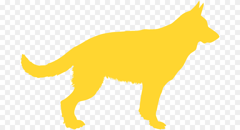 Cat, Animal, Canine, Dog, Mammal Png Image