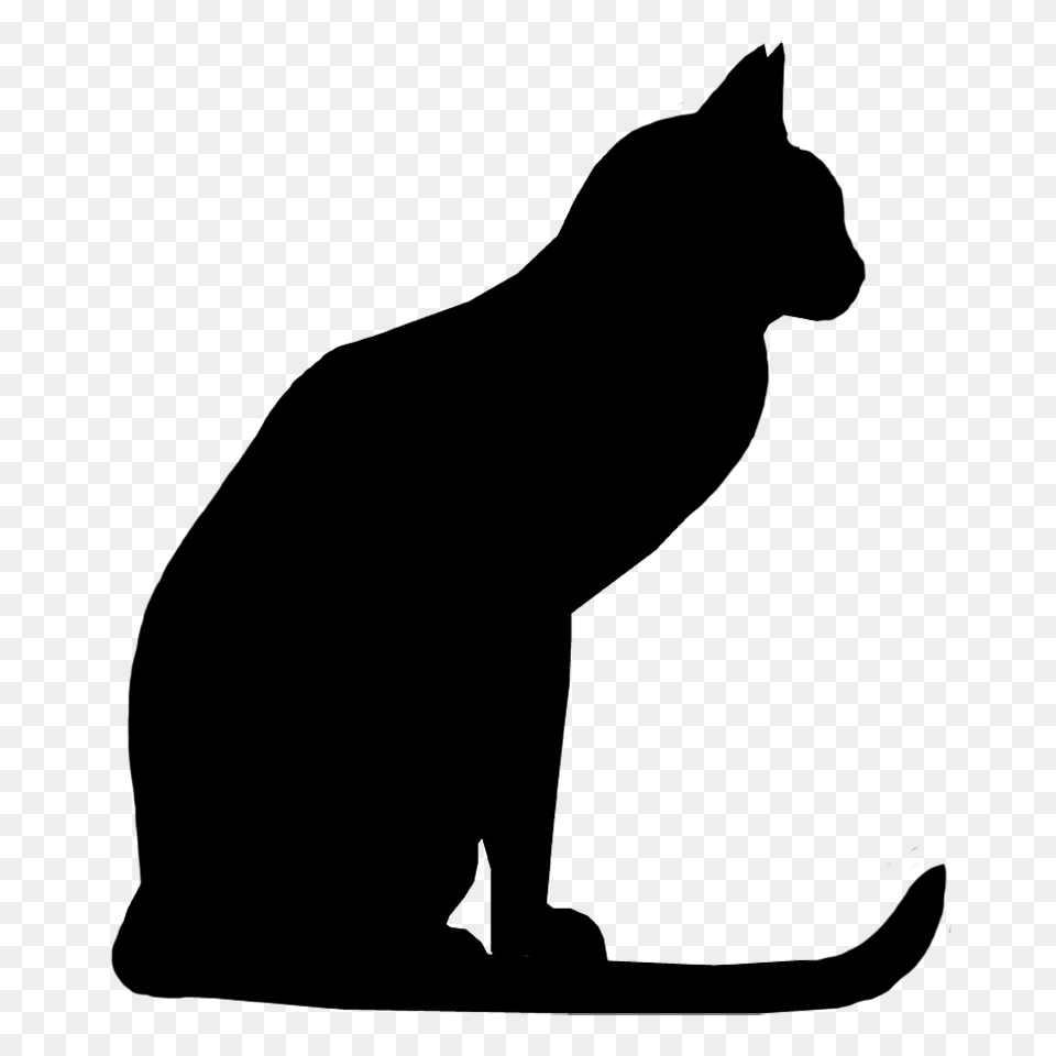 Cat, Silhouette, Adult, Male, Man Free Transparent Png