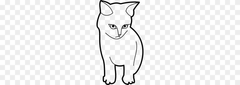 Cat Gray Free Png Download