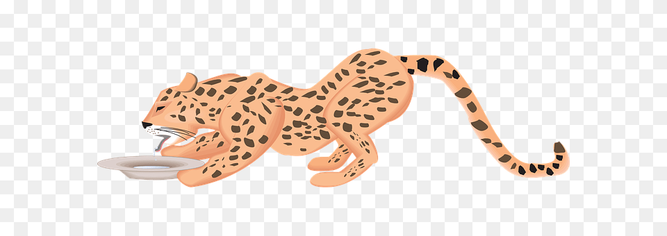 Cat Animal, Cheetah, Mammal, Wildlife Free Png