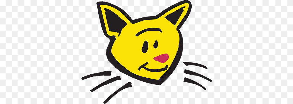 Cat Png
