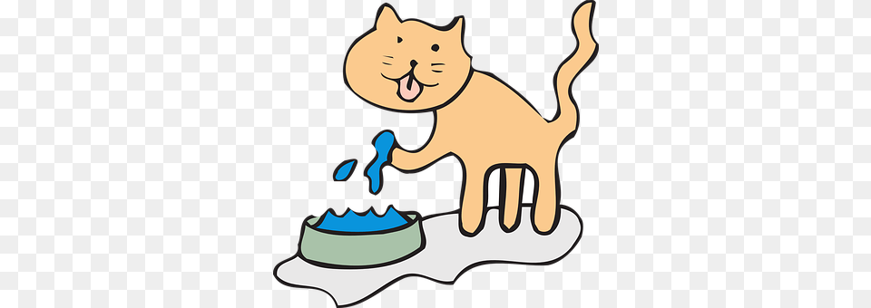 Cat Person, People, Dessert, Birthday Cake Free Transparent Png