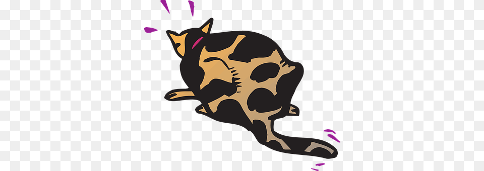 Cat Animal, Mammal, Pet Free Png