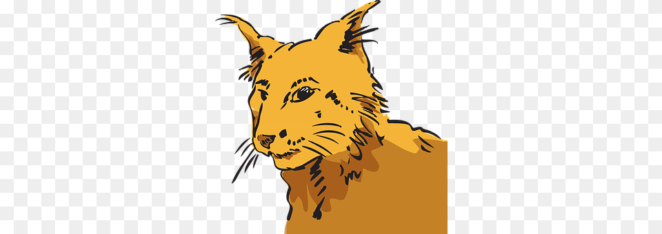 Cat Adult, Person, Man, Male Free Transparent Png