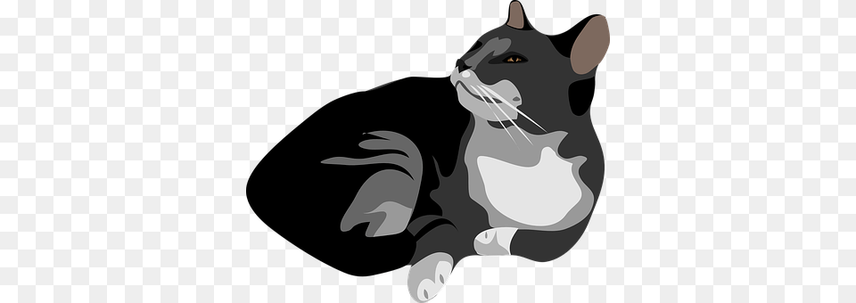 Cat Animal, Mammal, Pet Free Png Download