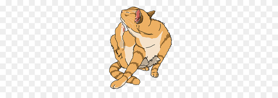 Cat Baby, Person, Face, Head Free Png Download